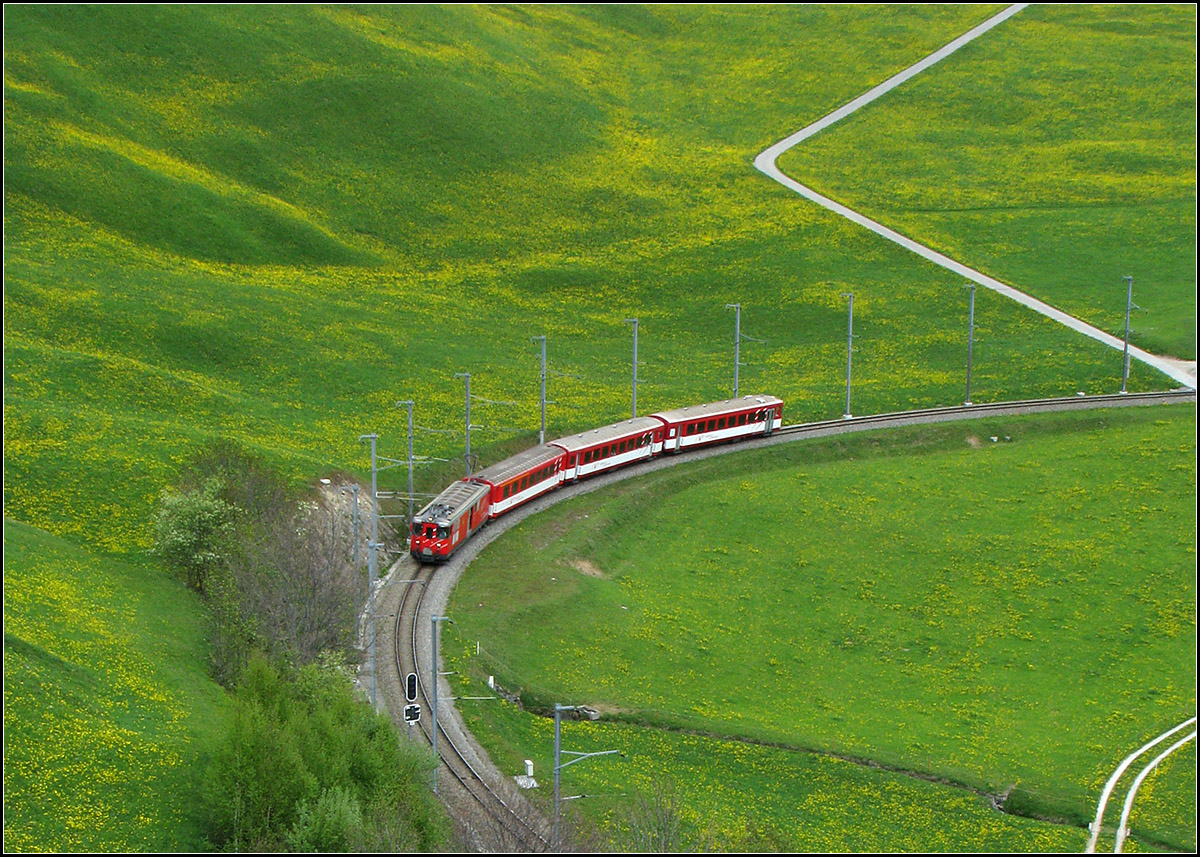 Frühlingsgrün -

... nahe dem Haltepunkt Segnas bei Disentis/Mustér. 

16.05.2008 (J)