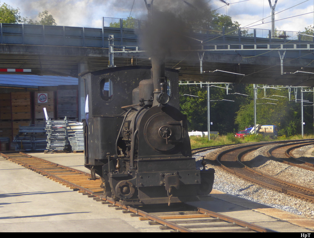 Führerstand-Fahrten für Gross und Klein mit der Dampflok TICINO unterwegs im Bahnhofsareal auf eigenen Schmalspur Geleisen anlässlich des Dampflokfestes in Lyss am 10.08.2018