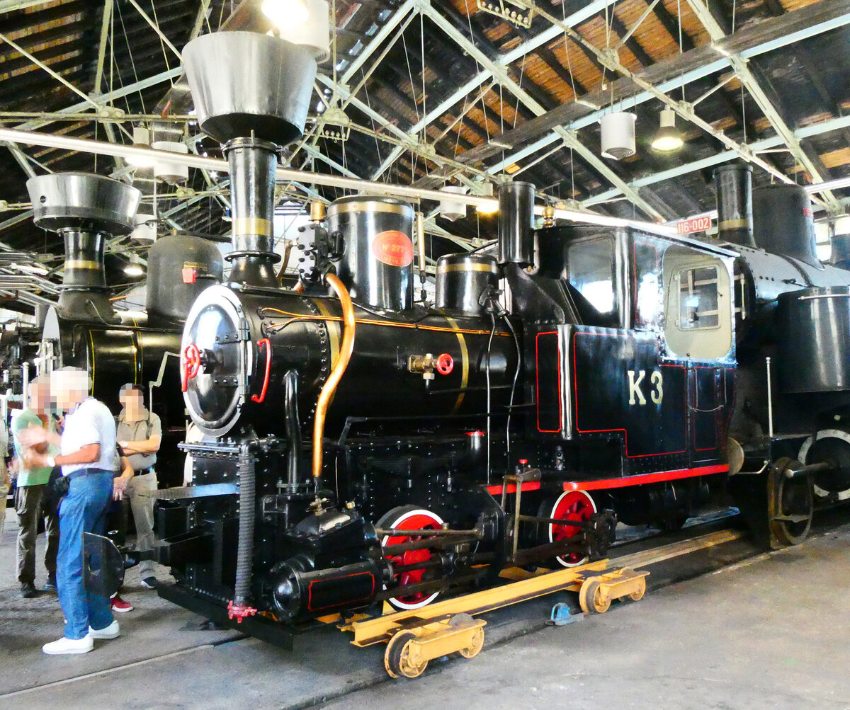 F�hrung im Eisenbahnmuseum in Ljubljana. Wie pr�sentiert man eine Schmalspurdampflok auf einem Normalspurgleis? Der gelbe Rollschemel l�st das Problem. Ljubljana, 6.9.2026