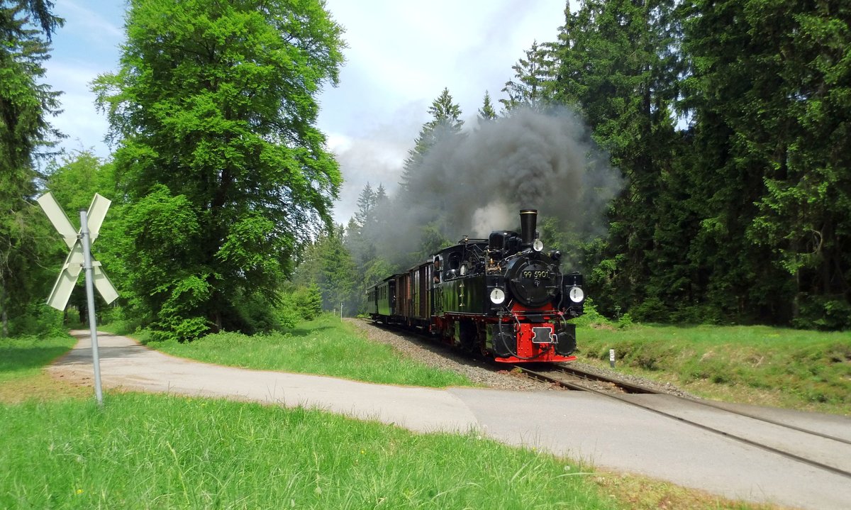 Für einen Schweizer Reiseveranstalter fuhr am 28.05.2017 dieser Sonderzug von Wernigerode über Hasselfelde nach Nordhausen.
Am Bahnübergang am Sandbrink, km 30,8 vor Benneckenstein,entstand dieses Motiv unseres Zuges. 