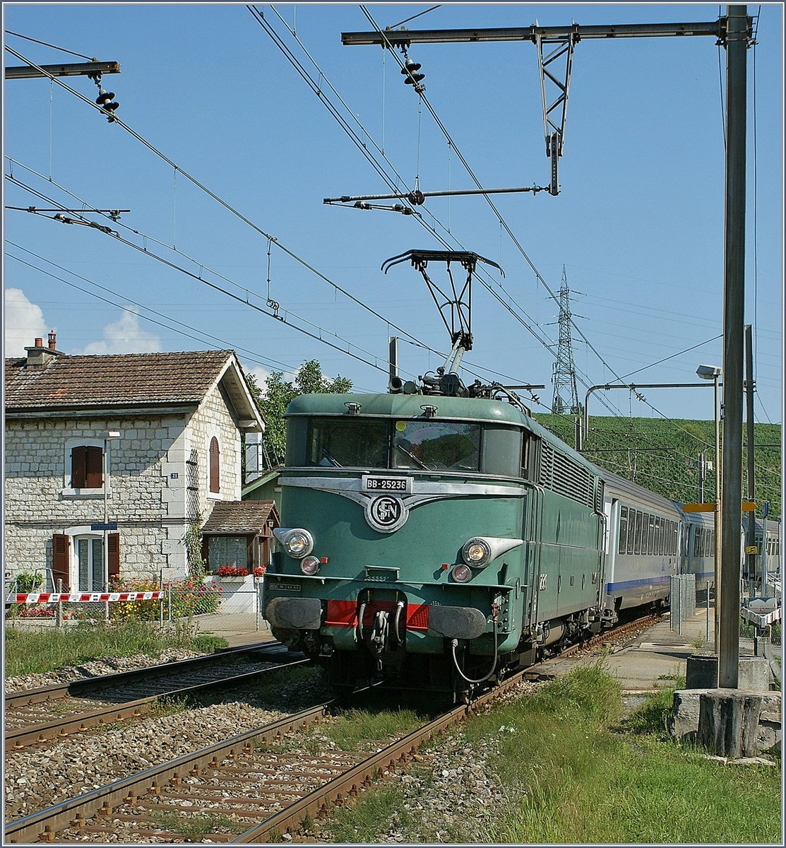 Fr mich das Highlight heute: die olivgrne BB 25 236 mit dem TER 96576 von Genve nach Lyon bei der Durchfahrt in Russin. 
(27. August 2009)