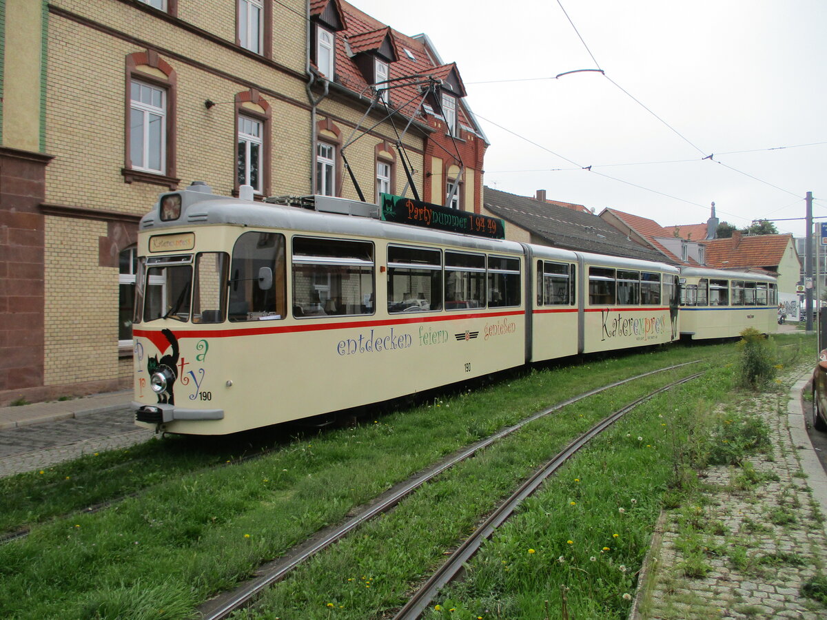 Für Sonderfahrten setzt die Erfurter Straßenbahn auch den Tw 190 ein.Am 04.September 2023 fotografierte ich den G4-65 in der Erfurter Innenstadt.