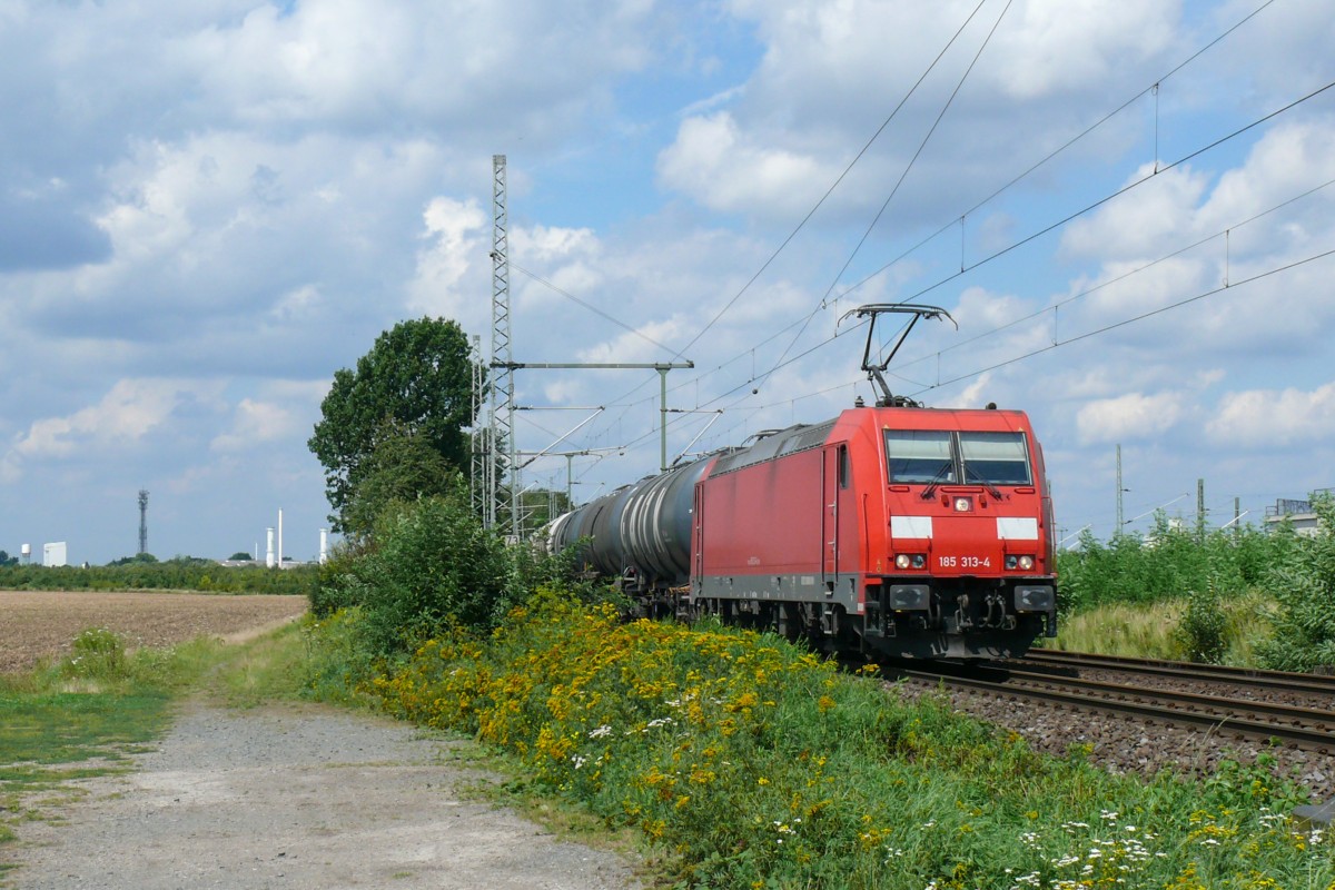 Ganz ohne Logo ist 185 313-4 derzeit unterwegs, hier aufgenommen am 09/08/2014 in Porz-Wahn.