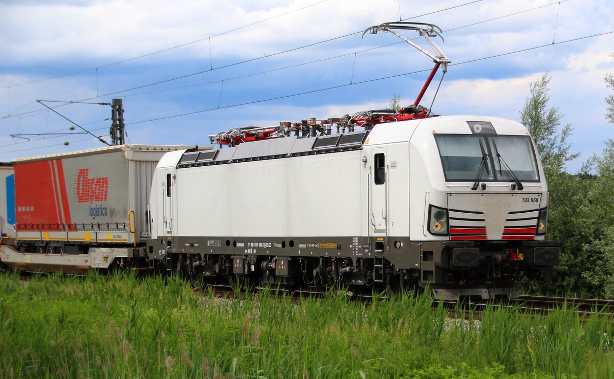Ganz in weiß: 193 960 am 25.06.2021 bei Bernau/KBS 951