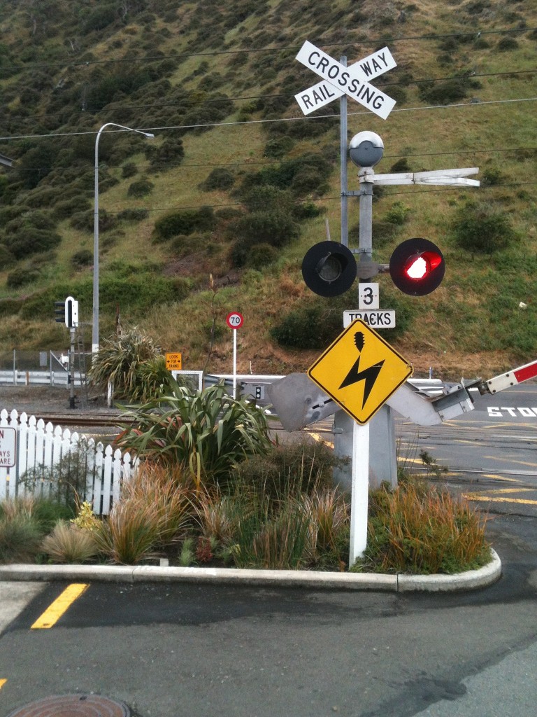 Garten unterm Warnkreuz,gab es vielleicht auch frher in Deutschland. Hier in Paekakariki (Wellington/Neuseeland)28.11.2013 14:30 Uhr. Fotograf Jrg Hee.
Genehmigung zur Verffentlichung liegt vor.