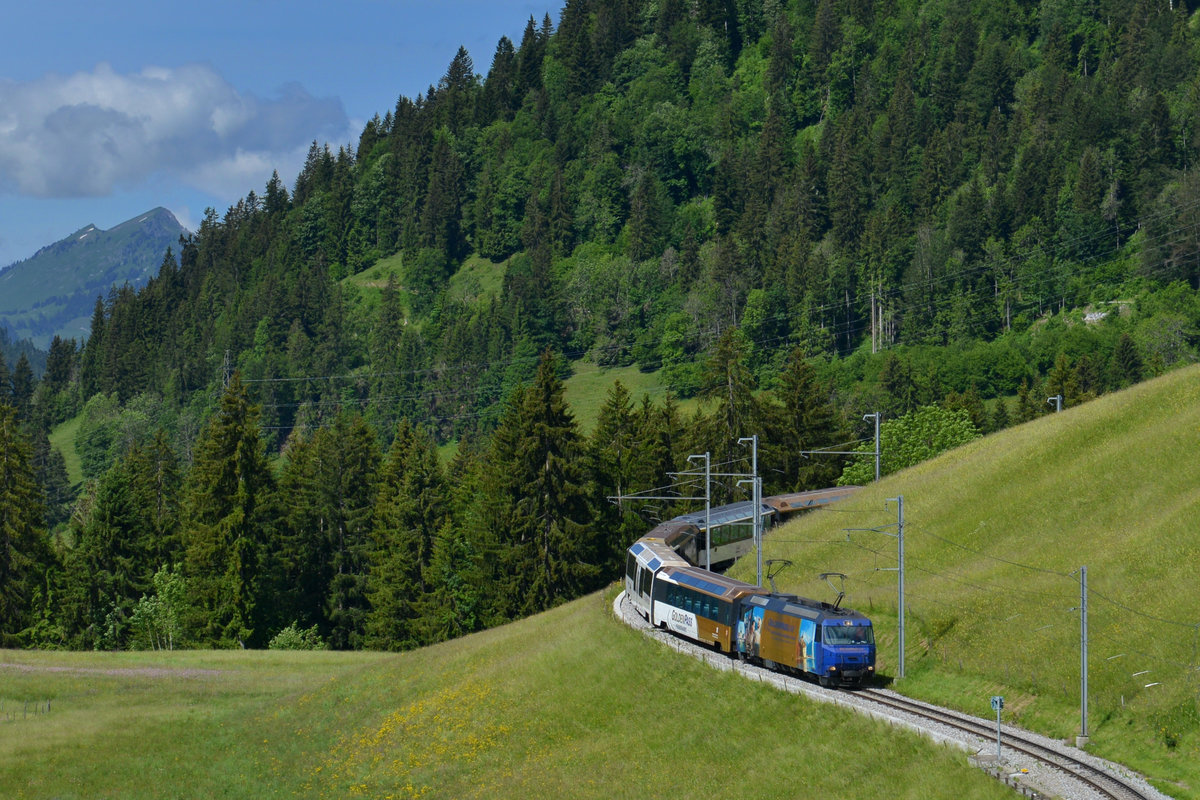 Ge 4/4 8004 mit einem Golden Pass am 20.06.2016 bei Schönried. 

