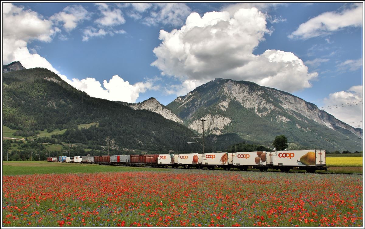 Ge 6/6 II 702  Curia  mit dem stattlichen Güterzug 5140 zwischen Bonaduz und Reichenau-Tamins mit dem Taminser Calanda im Hintergrund. (01.06.2018)