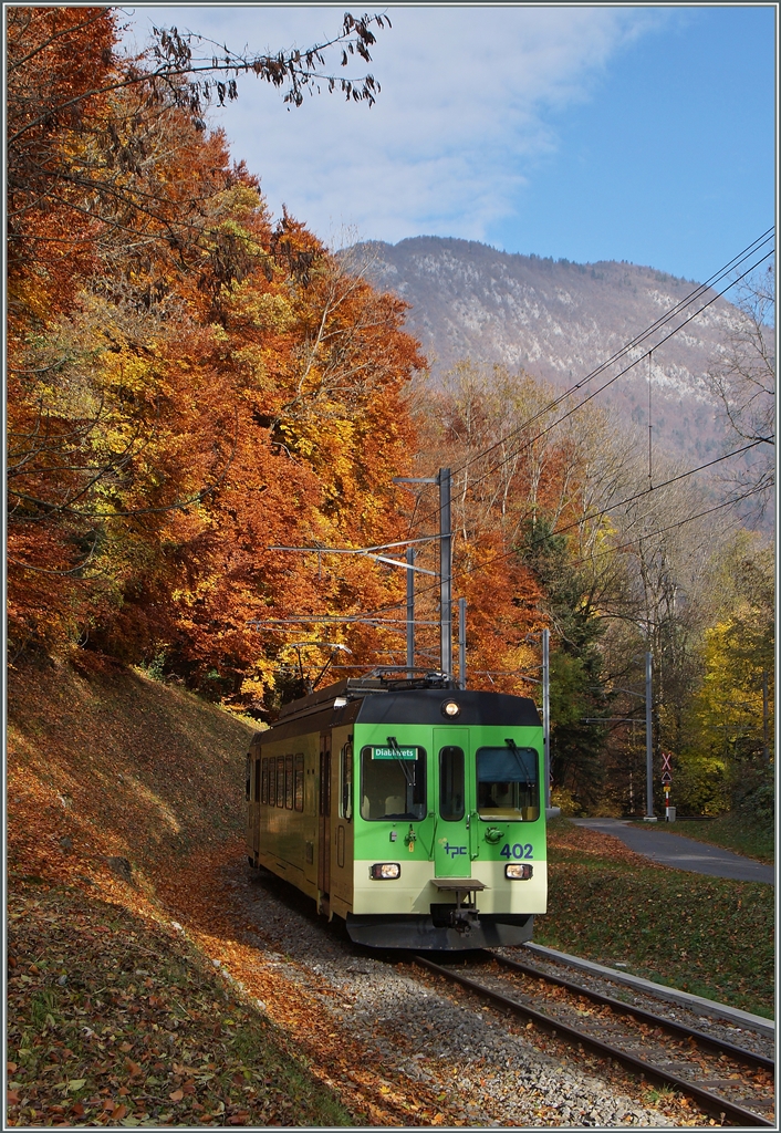 Gegen Ende dieser Woche, so sagt man, sollen die meisten Herbstblätter gefallen sein; Grund genug, den Tag für ein buntes Herbstbild zu nutzen, bei welchem sogar die nicht sehr diskrete Farbgebung der TPC gar nicht so im Vordergrund steht.
Der ASD BDe 4/4 402 (und sein nicht zusehnder Bt) als Regionalzug 428 von Aigle nach Les Diablerets kurz vor Verchiez. 
4. Nov. 2015