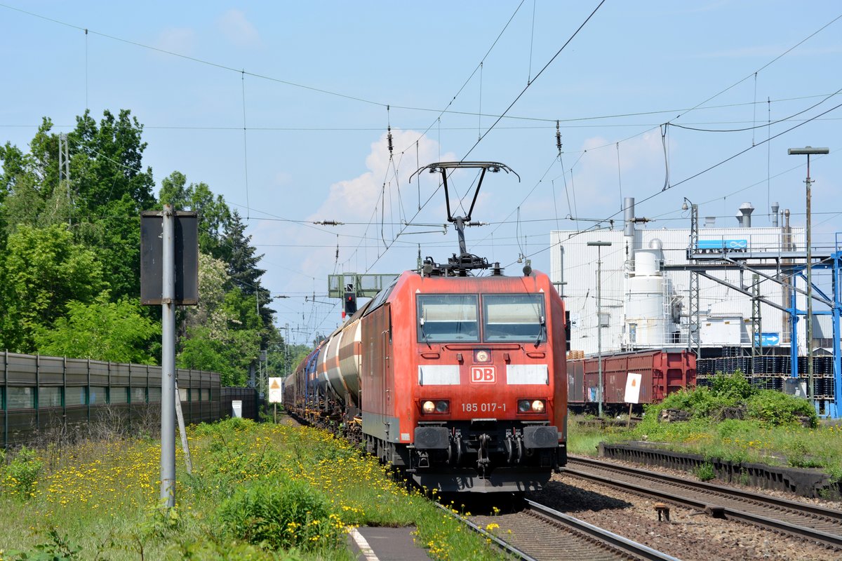 Gegen Mittag dann war vom triesten Morgen nichts mehr zu sehen und der Himmel strahlte im satten blau. 185 017-1 kommt mit einem Mischer durch Knigswinter gen Koblenz gefahren.

Königswinter 28.05.2016