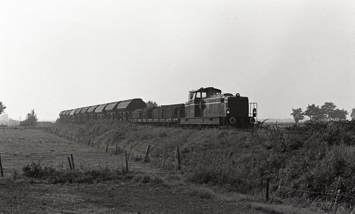 Gegenlichtaufnahme des D21 der Bentheimer Eisenbahn, unterwegs von Laarwald nach Coevorden mit 11 Wagen, hier bei der Ankunft am Einfahrsignal in Coevorden (NL) wo es eine kurze Pause gab, da der Brückenwärter noch nicht anwesend war. Coevorden, 08.10.1979, 11.05u. Scanbild 91943, Kodak Tri-Xpan.