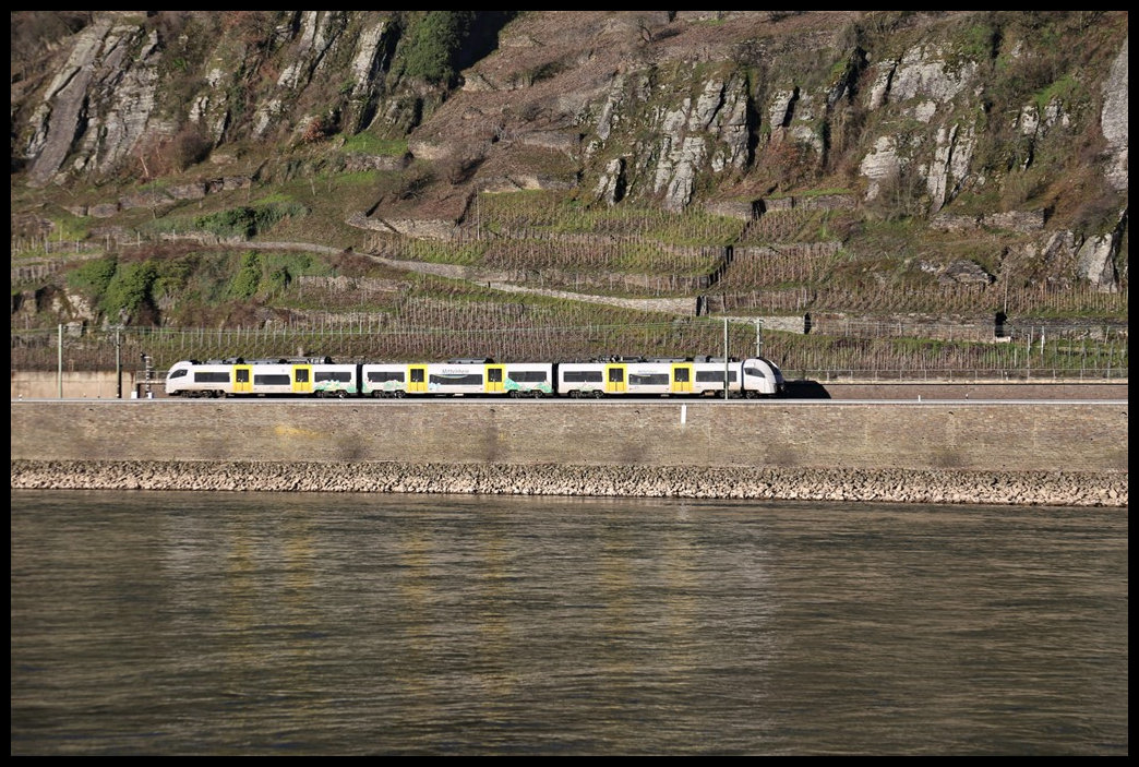 Gegenüber der Ortschaft Kestert ist hier linksrheinisch am 27.02.2023 um 9.06 Uhr ein dreiteiliger ET der Baureihe 460 von Transregio in Richtung Koblenz unterwegs.
