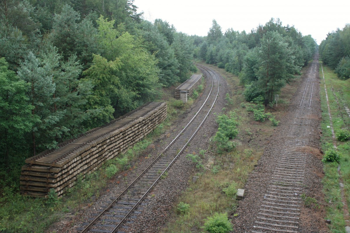 Geheimnisvolle Gleise im Wald bei Knappenrode am 04.08.2014: links das Gleis der Strecke Bautzen–Knappenrode, das zwischen Caminau und Knappenrode noch dem Güterverkehr dient; rechts das seiner Schienen beraubte Verbindungsgleis zur Strecke Knappenrode–Spreewitz/Graustein.