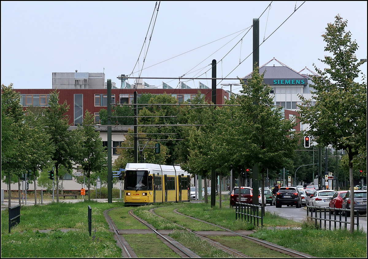 Gelbe Bahn auf grüner Trasse -

... durch den Berliner Stadtteil Adlershof. Die Strecke vom S-Bahnhof Adlershof bis zur Haltestelle Karl-Ziegler-Straße wurde 2011 eröffnet. Sie verläuft auf eigenem begrünten Bahnkörper in Straßenmitte.

Blick von der Haltestelle Walther-Nernst-Straße nach Südwesten.

20.08.2019 (M)