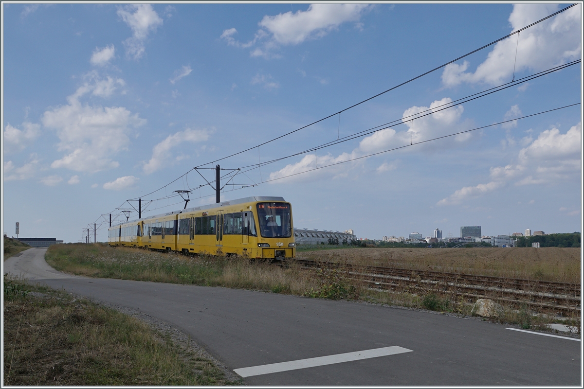 Gelbe Züge:  Wir fahren auch dorthin wo der Hahn noch kräht  wirbt die SSB; ob hier auf den Fildern noch Hähne krähen kann ich nicht sagen, doch die über die Felder bei Echterdingen fahrende neue U6 vermittelt tatsächlich einen Eindruck landschaftlicher Idylle. Doch der Schein trügt: Außerhalb des Bildrandes verläuft die vierspurige B 27. im Hintergrund sieht man die auf Land drängende Stadt und die kleine Brücke im Hintergrund überquert die A8. Zudem werde in der Nähe der A8 Gleise für die NBS Stuttgart - Ulm verlegt und auch der Flughafen und die Messehallen sind praktisch hinter meinem Rücken. 

29. August 2022