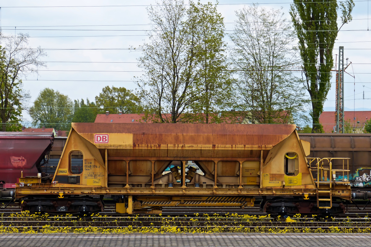 Gelbes  Unkraut  vor gelbem Schüttgutwagen. Bahnhof Plattling 01.05.2016