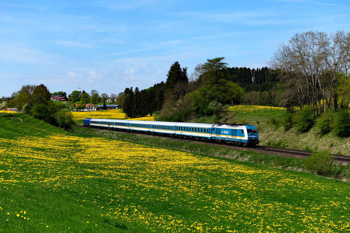 Gelegentlich kann man die Alex-Züge auf dem Südast auch in Sandwich-Bespannung beobachten. So auch am 25. April 2018, als 223 063 mit ihrem ALX 84137 zum Münchner HBF mit der blauen ER 20-001 am Zugschluss durch die blühenden Löwenzahnwiesen bei Aitrang eilte. 