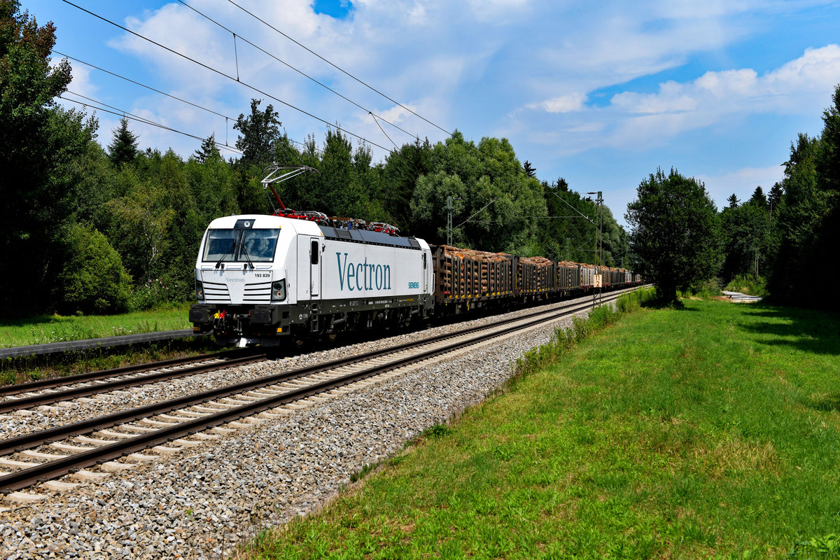 Gelegentlich kann man die SETG mit Holzzügen auf der KBS 950 beobachten. So auch am 20. Juli 2018, als mir die von der ELL angemietete 193 839 mit einer solchen Leistung bei Reischenhart vor die Linse fuhr. 