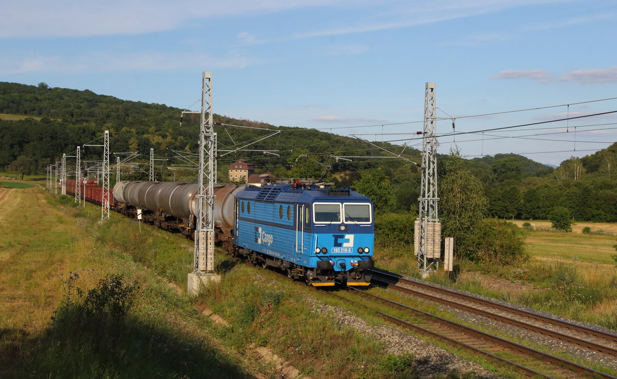 Gemischter Güterzug in Richtung Most mit der 163 216 am Ausgang des engen Bilinatales bei Bilina am 05.08.2020