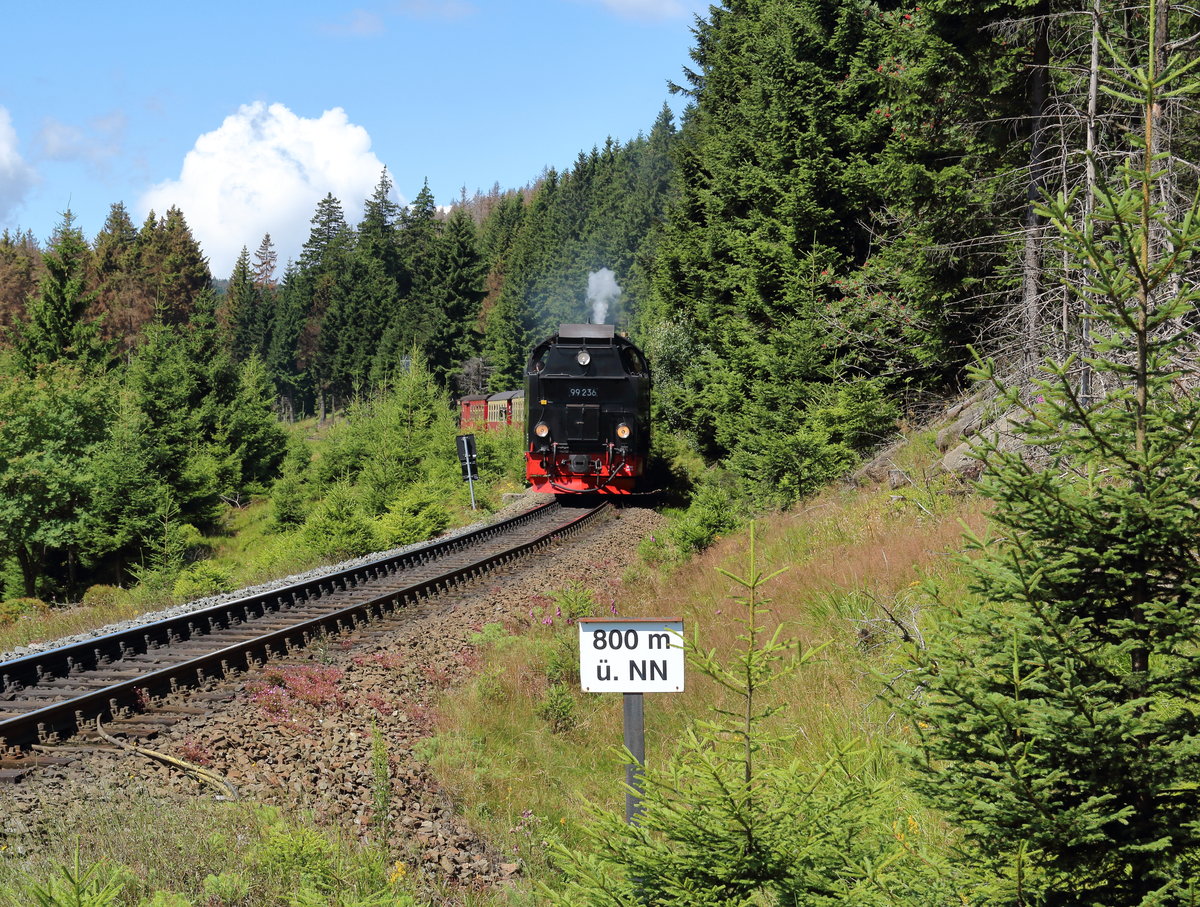Genau bei 800 Meter über Normal Null konnte ich 99 236 mit dem P8926 (Brocken - Drei Annen Hohne) erlegen. Der Zug wird dann noch einmal hoch zum Brocken fahren und wieder zurück nach Drei Annen Hohne, wo die Lok dann den Zug von der Eisfelder Talmühle nach Wernigerode übernimmt und die Wagen nach Nordhausen gehen.

Brocken, 06. August 2017