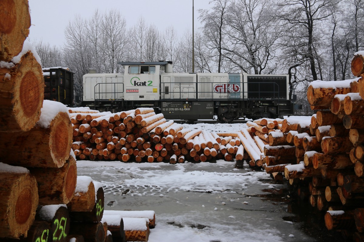 Genug Holz vor der Hütte gibt's beim Sägewerk Haslacher in Preding. Am 17.02.2016 hat DH1700.2 viel zu tun beim ausziehen und beistellen von Holzwagen verschiedener Gattungen. 
