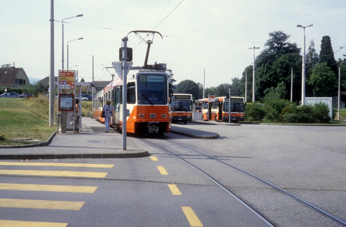 Genve / Genf TPG Tram 12 (ACMV/DWAG/BBC-Be 4/6 813) Bachet am 3. August 1993.