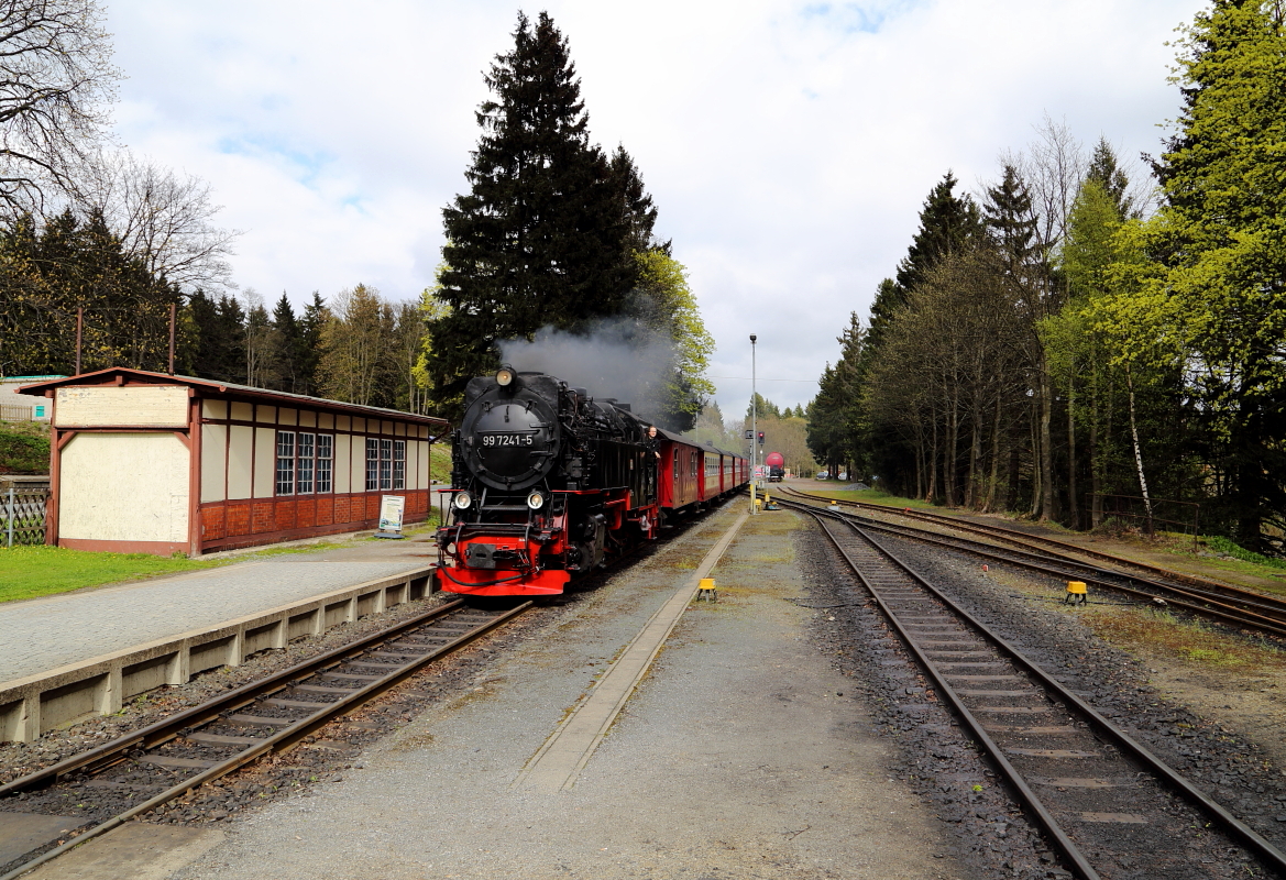 Gerade läuft 99 7241 am Nachmittag des 15.04.2014 mit ihrem Zug aus Wernigerode und  Fahrziel Brocken, in den Bahnhof Drei Annen Hohne ein.