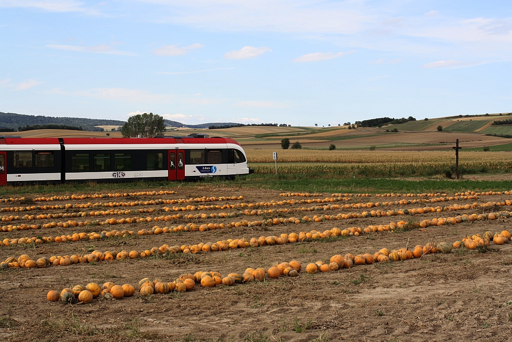 GKB 5063 009-2 am 19.September 2015 als SLP 17216 bei Mollmannsdorf.