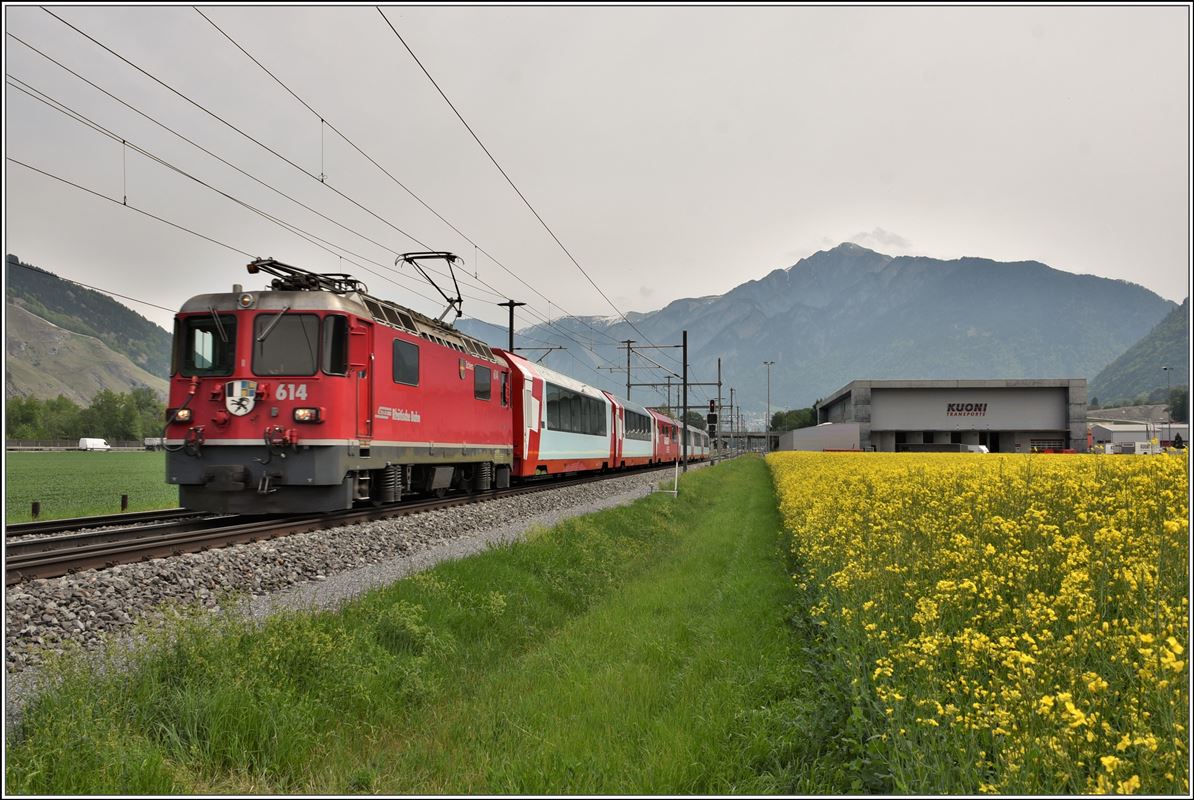 Glacier Express 903 mit Ge 4/4 II 614  Schiers  zwischen Felsberg und Domat/Ems. (02.05.2018)