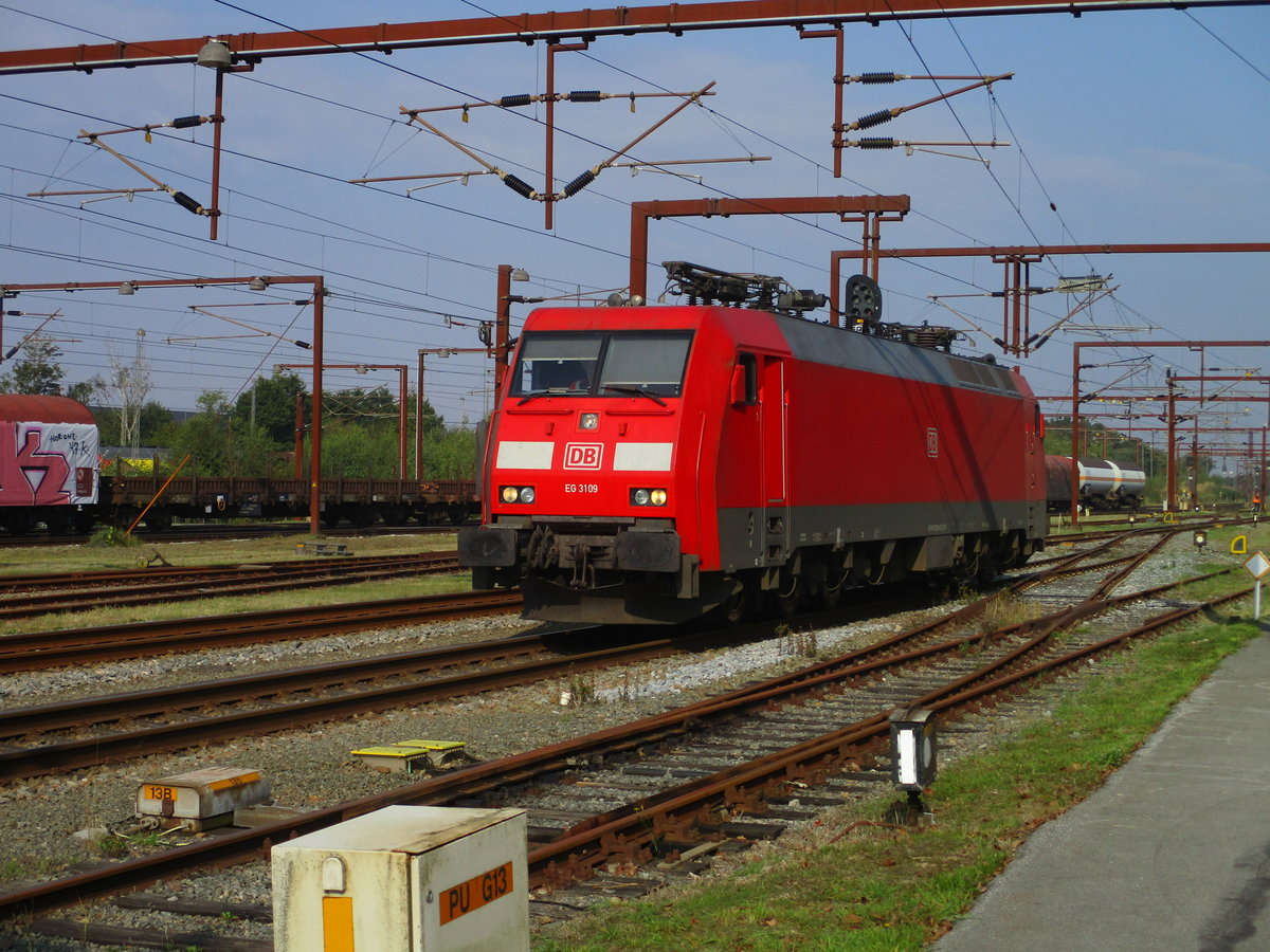 Gleich bei meiner Ankunft,am 23.September 2020,war die EG 3109 meine erste Aufnahme in Padborg.