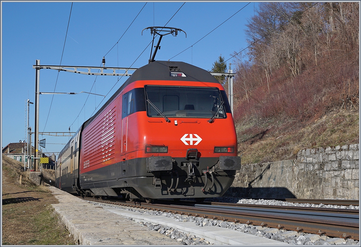 Gleich unmittelbar neben dem Wanderweg Grandvaux - Bossière verläuft die Strecke Bern - Lausanne; auf dieser ist gerade eine SBB Re 460 mit ihrem IC1 712 von St. Gallen nach Genève Aéroport unterwegs.

15. Feb. 2019