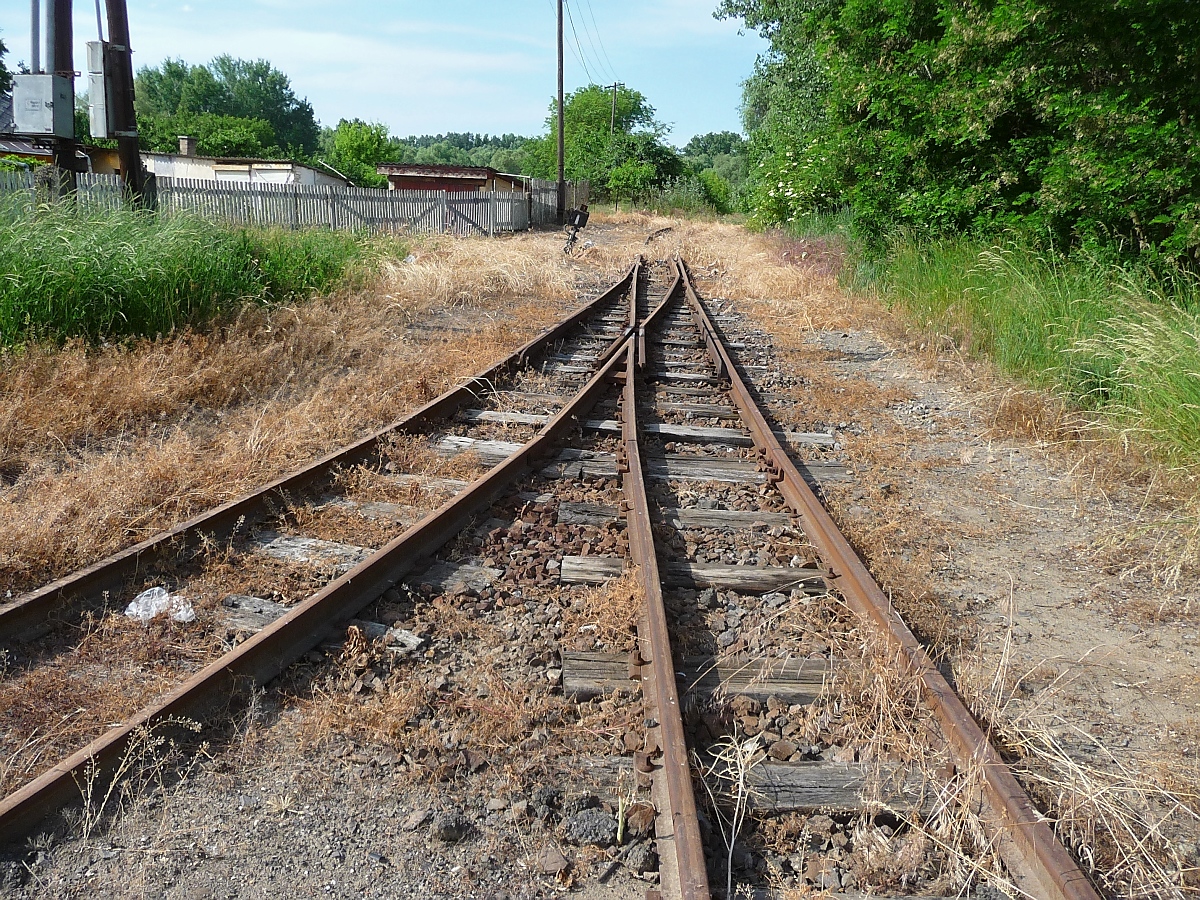 Gleisdreieck in Balsa - aber noch nicht das Ende der 2009 stillgelegten Schmalspurstrecke von Nyiregyhaza nach Dombrad und Balsa, denn das Gleis führt noch bis zum Fluss Tisza (Theiss), wo es erst eine Brücke, und nach deren Zerstörung 1944 dann eine Fähre über den Fluss gab. 29. ‎Mai ‎2016 