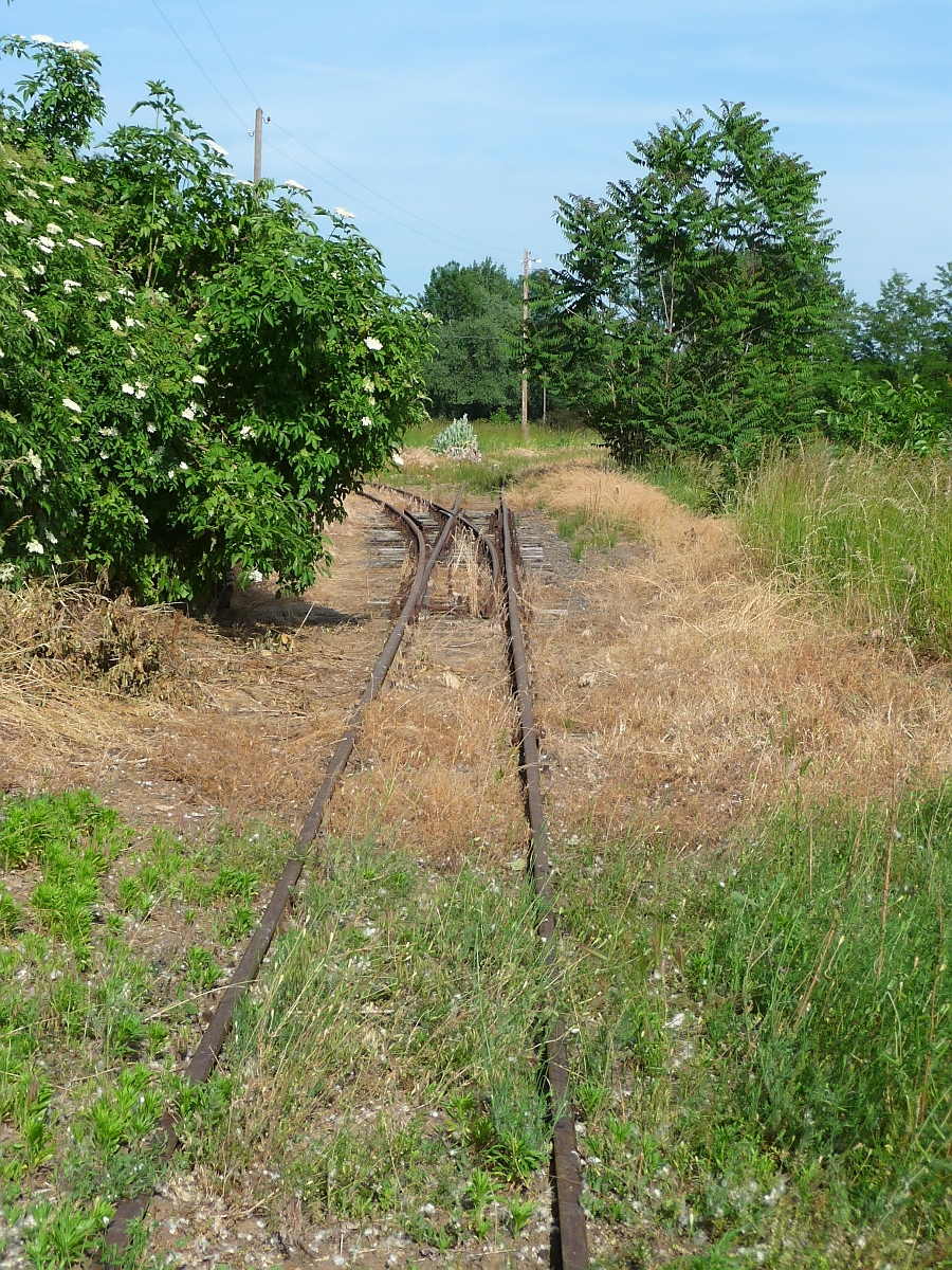 Gleisdreieck in Balsa - das Ende im Grünen der 2009 stillgelegten Schmalspurstrecke von Nyiregyhaza nach Dombrad und Balsa. 29. ‎Mai ‎2016 