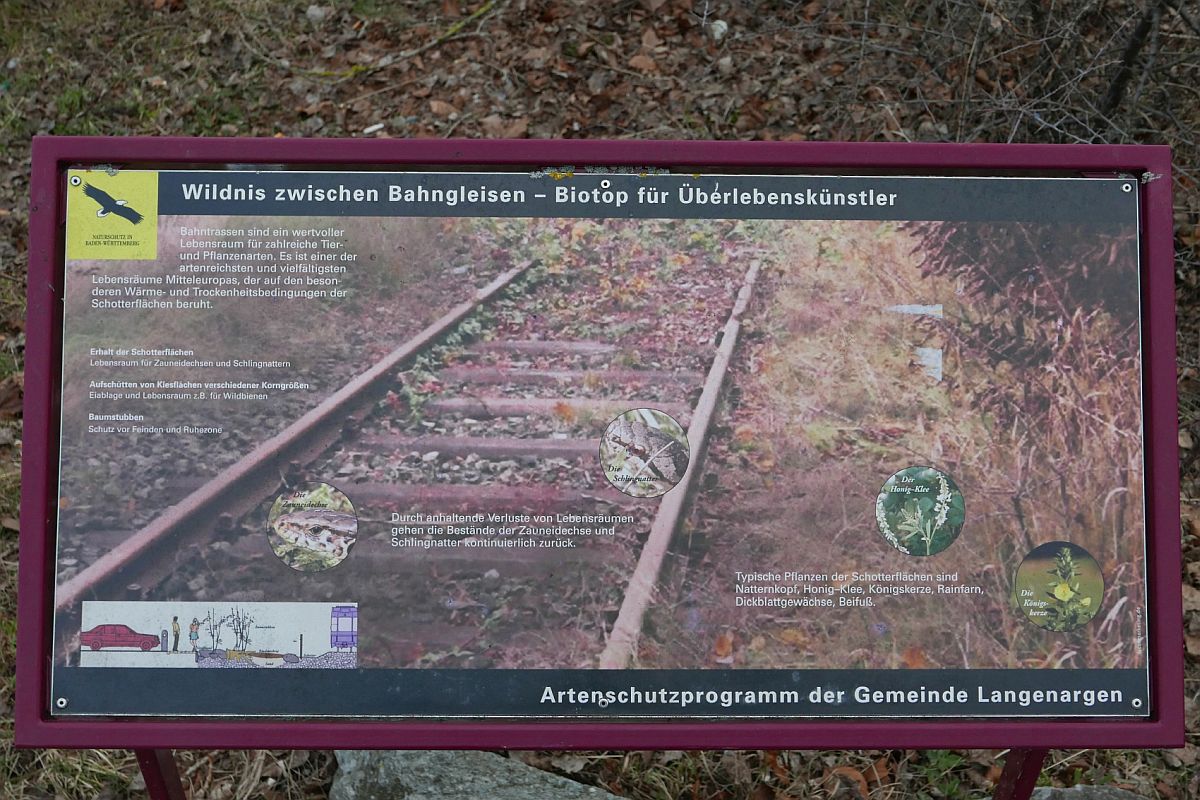 Gleiserneuerung im Bahnhof von Langenargen - Da werden Zauneidechse und Co nach dem Abtrag der alten Gleisbette und dem Einbau Neuer wohl einen neuen Lebensraum vorfinden. Infotafel am Bahnhof von Langenargen (24.02.2018).