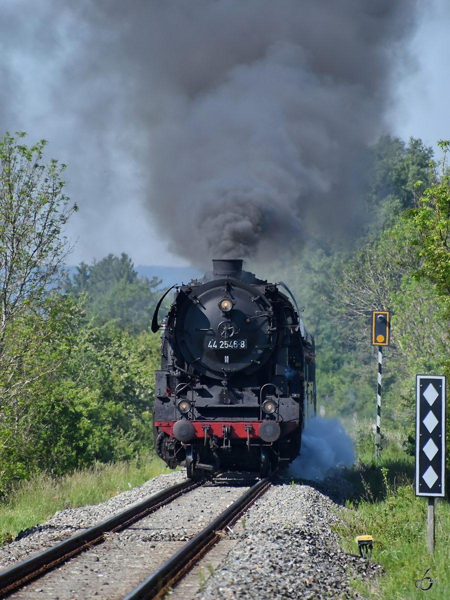 Glück gehabt. Nichtsahnend unterwegs gingen an einem Bahnübergang bei Oettingen die Schranken nieder. Dann hörte man den unverkennbaren Ton einer Dampfpfeife und plötzlich verließen viele Wartende ihre Autos. Wenig später war dann auch schon die dampfende 44 2546-8 zu sehen. (Juni 2019)