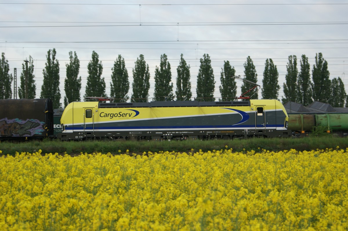 Glück in letzter Minute. Schon auf dem Heimweg traf 193 890-1 A-GARGO in Regensburg Ost ein. So entstand am 28.04.14 eine fast gelbe Lok auf gelben Grund.
