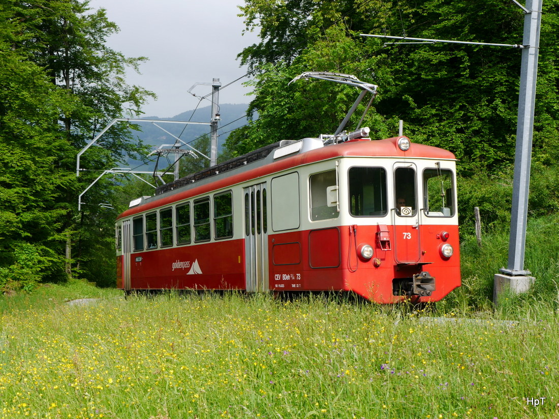 Goldenpass CEV - Fotoextrafahrt für Bahnforum.ch mit den Zahnradtriebwagen BDeh 2/4 73 unterwegs zwischen Blonay und Les Pleiades am 16.05.2015