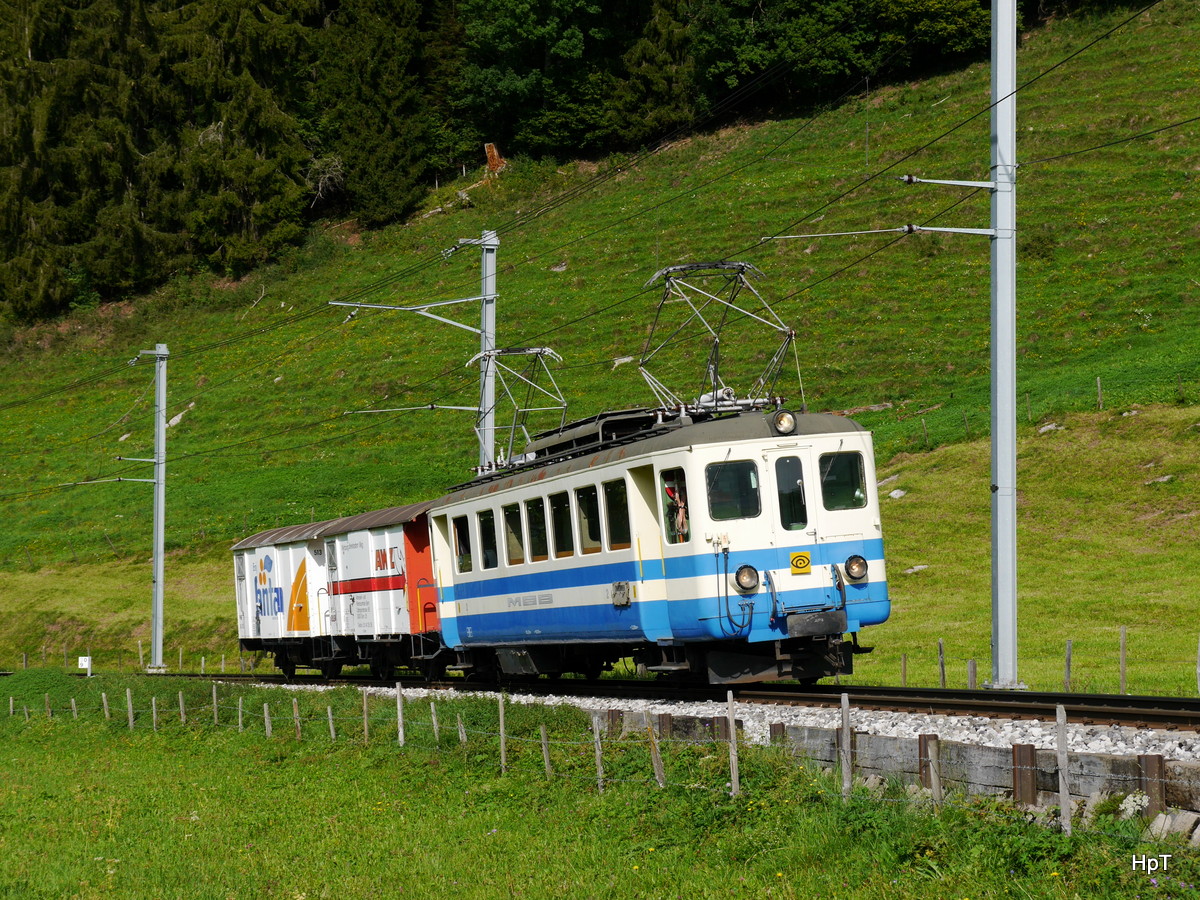 Goldenpass MOB - Fotoextrafahrt mit dem Be 4/4 1003 und den Güterwagen Gk 513 und X 65 unterwegs bei Rossiniere am 26.08.2017