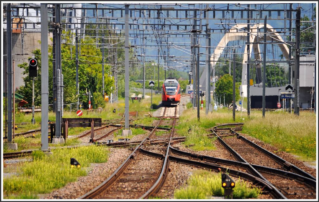 Gras und Unkraut gedeiht prächtig bei diesem nassen Wetter. S3 5767 aus Bregenz trifft in St.Margrethen ein. (27.05.2015)