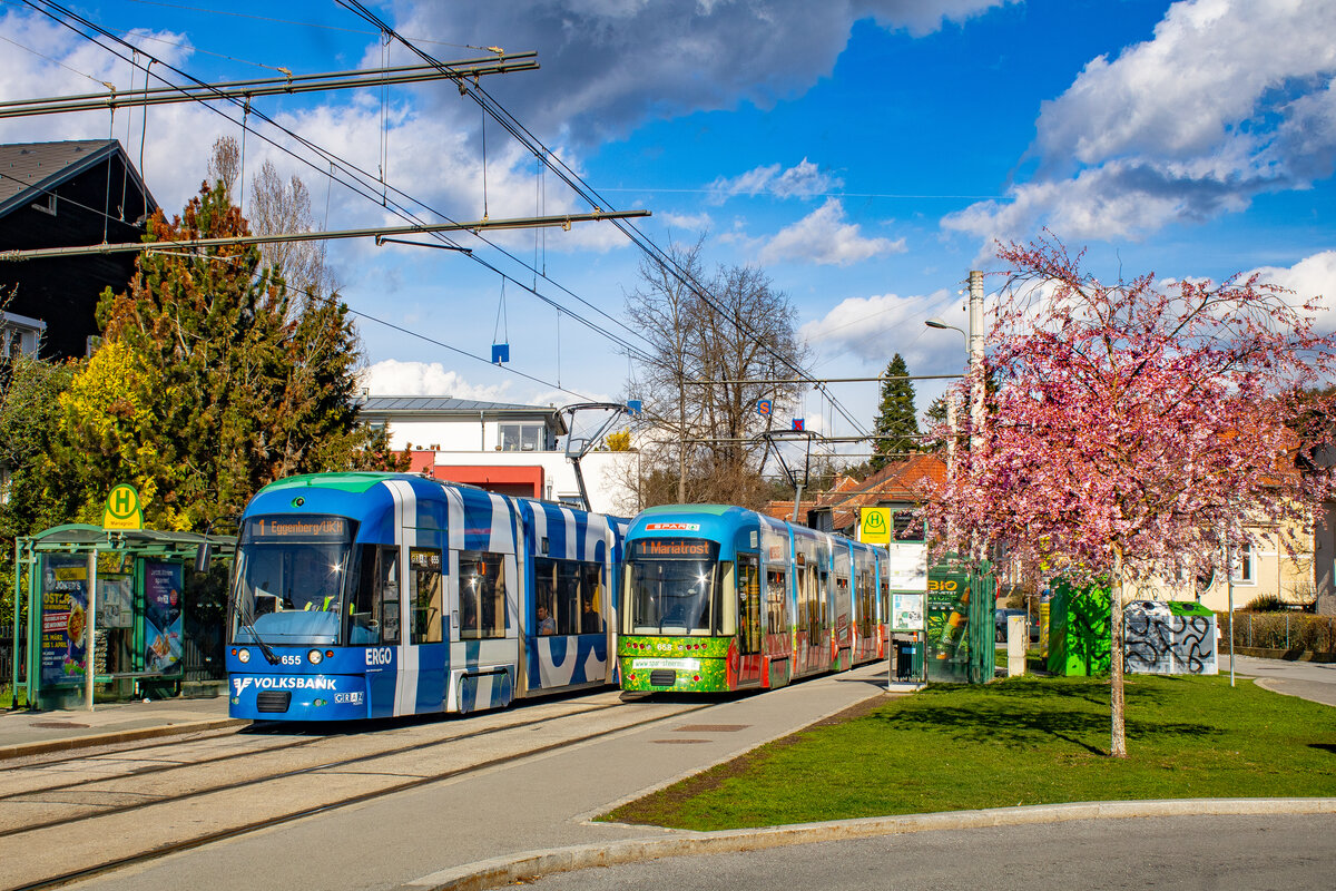 Graz. Auch der Frühling hält schon inne in Österreich: Cityrunner 655 und 668 der Graz Linien, stehen hier am 17.03.2024 in der Haltestelle Mariagrün.
