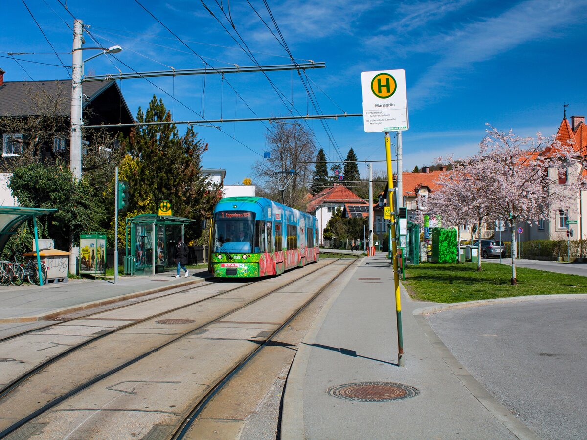Graz. Der Frühling ist auch schon lange in Graz angekommen – Cityrunner 658 steht hier als Linie 1 in der Haltestelle Mariagrün.