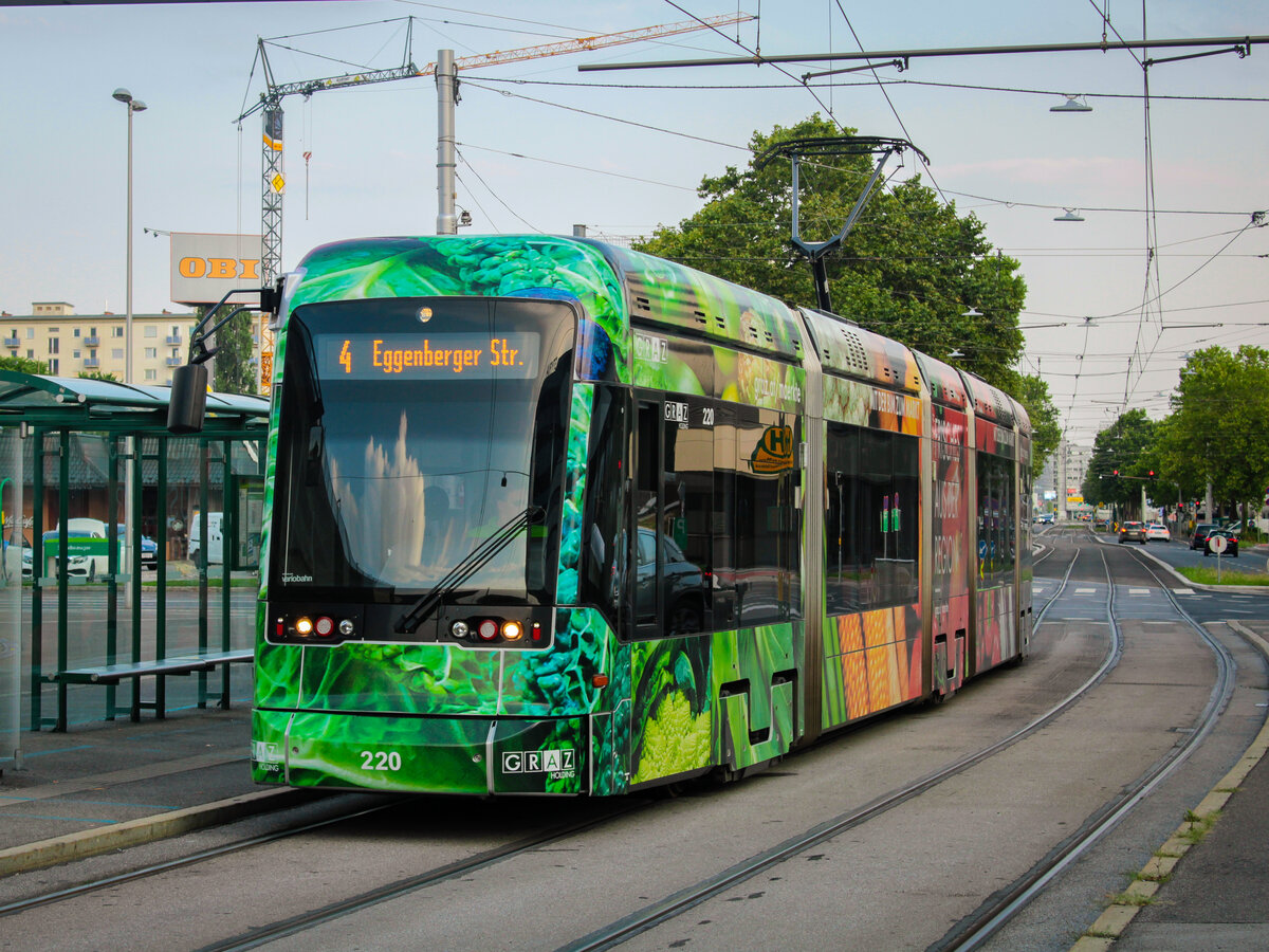 Graz. Im Jahr 2021 trug zweifellos die Variobahn mit der Nummer 220 die schönste Werbung im ganzen Fuhrpark. Am 16.08.2021 bot sich beim Verlassen der Haltestelle Fröhlichgasse ein Foto von der Garnitur an.