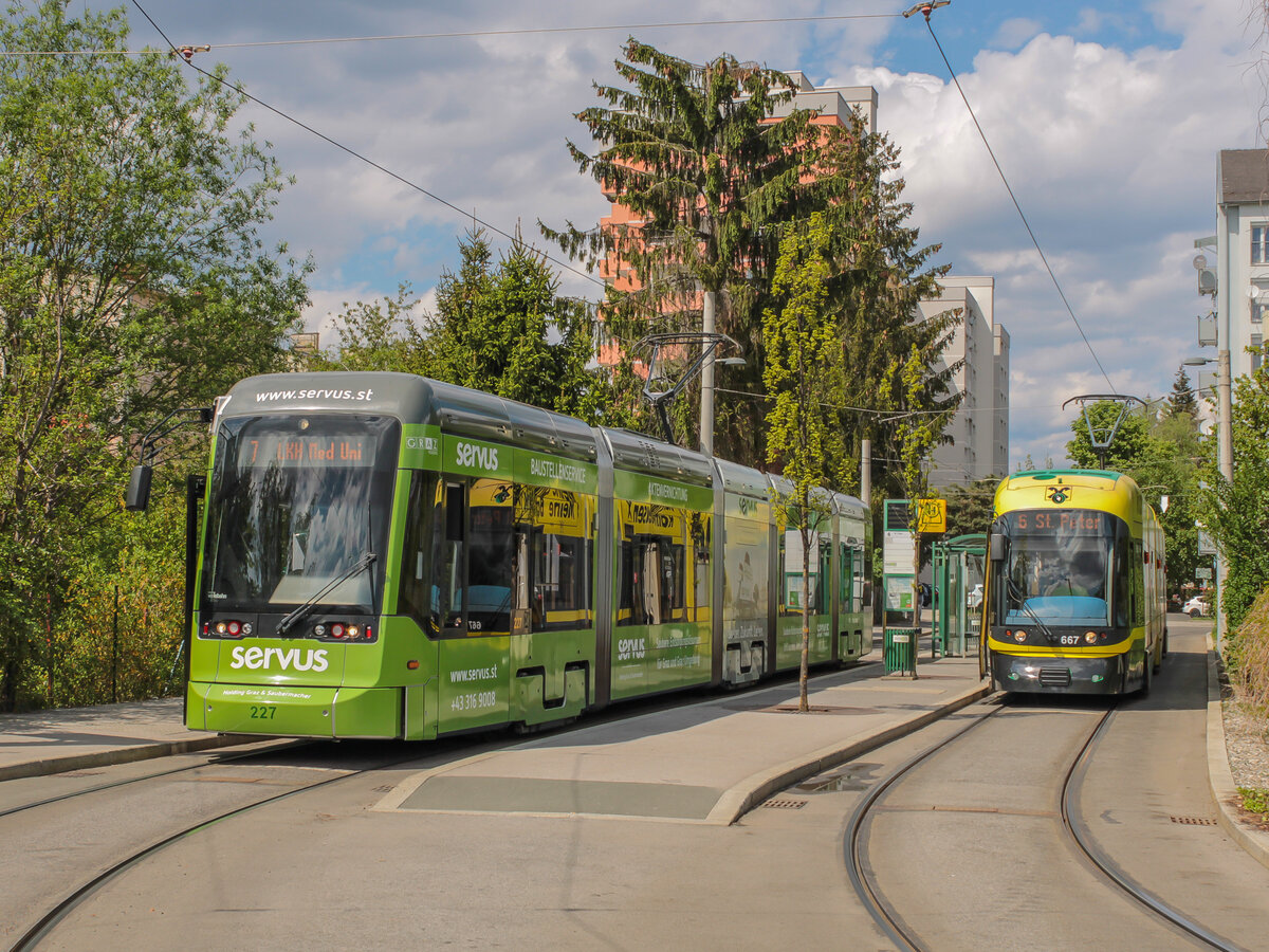 Graz. Variobahn 227 und Cityrunner 667 stehen hier am 03.05.2021 in der Laudongasse.