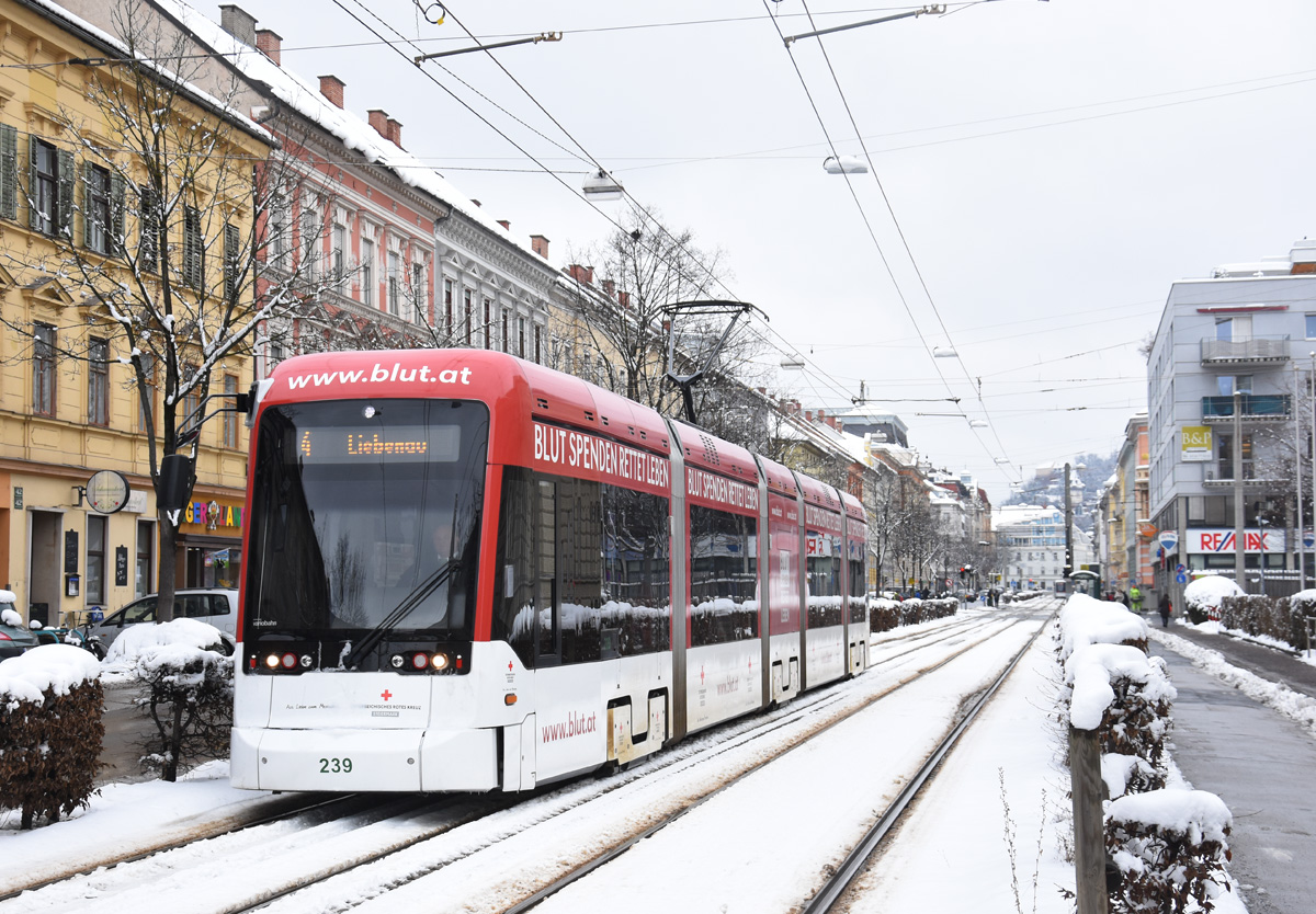 Graz

Variobahn 239  Rotes Kreuz/Blutspende  als Linie 4 in der Conrad von Hötzendorf Straße, 23.02.2018