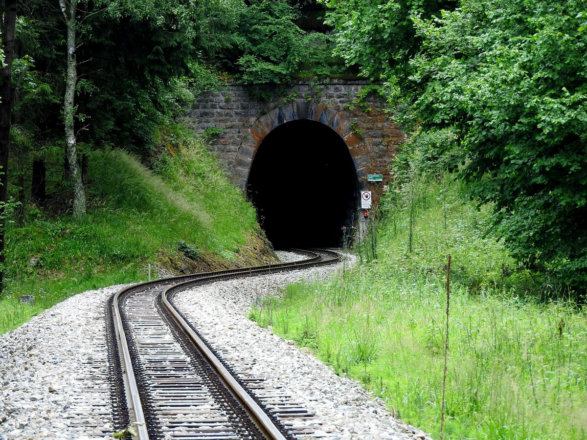 Gr.Bruderndorfer Tunnel (L=262m; wurde im Zuge der  Bahnerlebnisweg-Wanderung  entlang der Waldviertlerbahn, nicht im Gleisbereich, erspäht; 210709