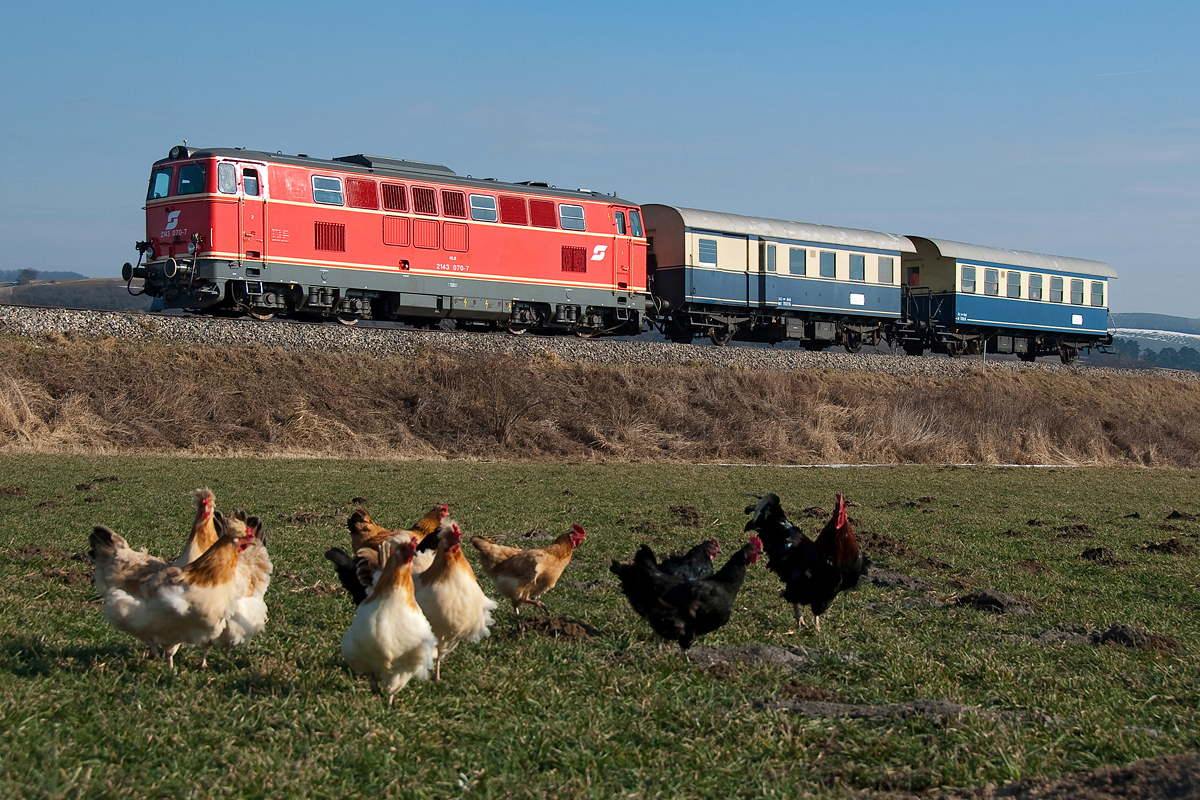 Groß war die Aufregung am Bauernhof, als die BR 2143 070 mit dem Sonderzug von Wien Praterstern zum Faschingsumzug nach Ernstbrunn vorbei kam;-) Wetzleinsdorf, am 15.02.2015.