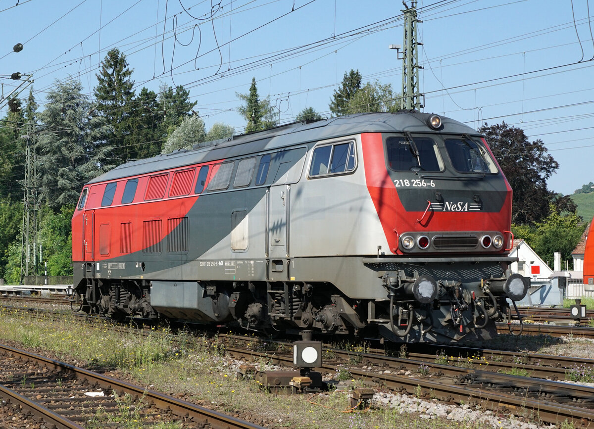 GROSSER BAHNHOF SINGEN am 14. August 2021.
Infolge Sperrung der Rheintalbahn während drei Wochenenden wurden viele Züge über die Schwarzwaldbahn umgeleitet.
Verewigt wurden diverse Impressionen vom Grossverkehr in Singen.
Die 218 256, ehemals GKB, traf für den Autozug nach Lörrach in Singen ein.
Foto: Walter Ruetsch