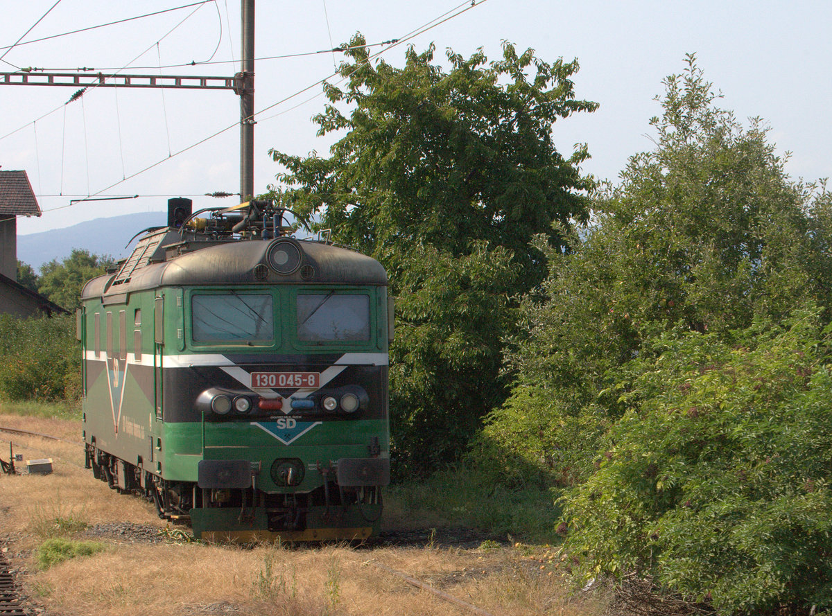 Grüne Lok im Grünen,130 045-8 , Samstagstimmung . 26.08.2017 15:25 Uhr, bei Brezno u Chomutovka, zwischen Zatek und Chomutov.