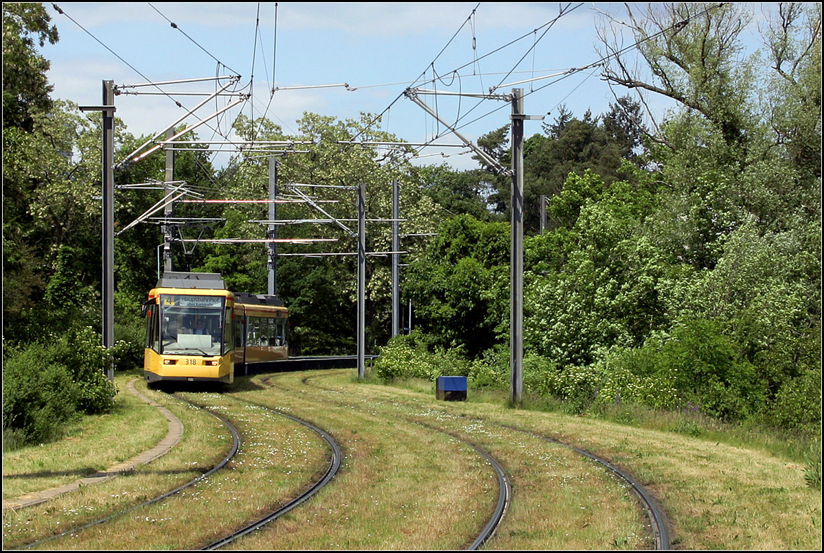 Grüne S-Kurve -

Die im Jahr 2000 verlängerte Strecke der Linie 4 in Waldstadt schlängelt sich durchs Grüne. Hier nördlich der früheren Endstation Jägerhaus. 

24.05.2006 (M)