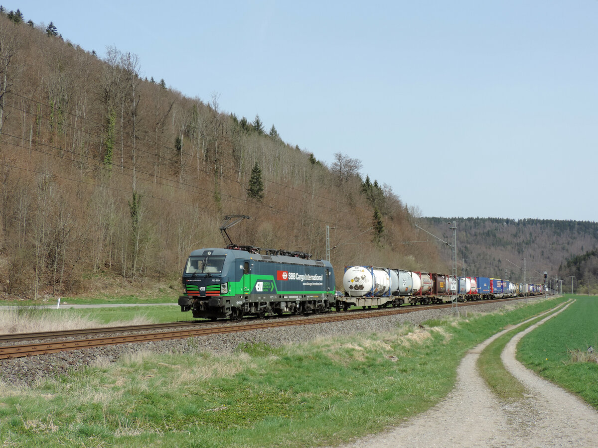 Grünholz - 13. April 2022 : ELL Lok 193 259 mit einem umgeleiteten KLV in Richtung Süden unterwegs.