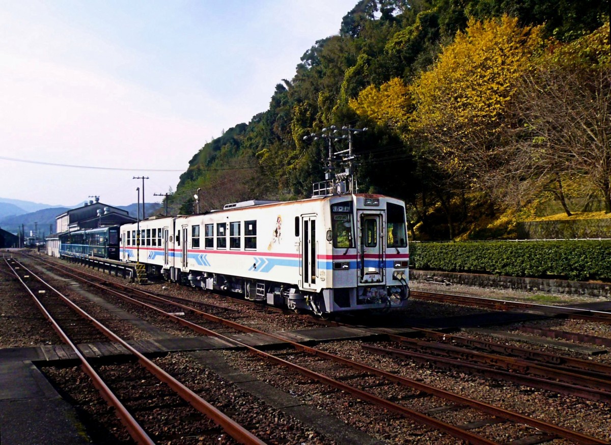 Grunddaten zur Kumagawa-Bahn: Diese 24,8 km lange Bahn befindet sich auf einem Hochplateau im Sden der Sdinsel Kysh. Von hier aus fhrt die heutige JR-Linie mit einer grossen Spirale ber die Berge nach Sden, whrend die Kumagawa-Bahn nach Osten an den Rand der Ebene gelangt. Als einstige Staatsbahnlinie wurde die Bahn 1924 erbaut und sollte 1987 stillgelegt werden. 1989 kam es zur Grndung der Kumagawa-Bahn als Drittsektor-Bahn, die von den lokalen Gemeinden getragen wird. Die Bahn tut ihr Mglichstes, um in dieser sehr abgelegenen Gegend den Tourismus zu frdern. Im Bild die Triebwagen 202 und 102, dahinter die hbsch mit viel Holz eingerichteten Touristik-Triebwagen. Hitoyoshi, 29.November 2010. 